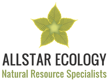 Allstar Ecology